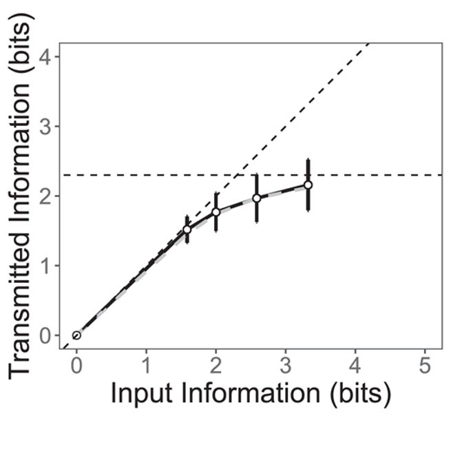 Beauty isn't special: Comparing the information capacity of beauty and other sensory judgments